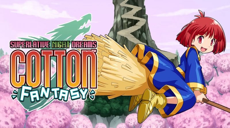 Cotton Fantasy Nintendo Switch