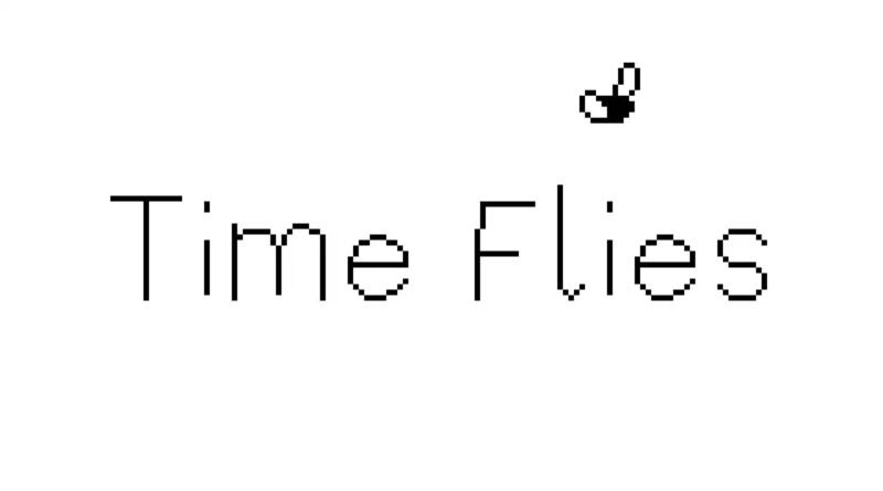 Time Flies Nintendo Switch